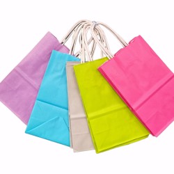 10 stuks Papieren draagtassen Assorti 5 kleuren