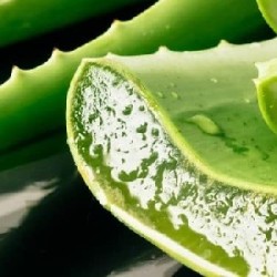 Aloë Vera huidverzachtende regenererende beschermende crème 5 in 1 - 100ml Aloë Vera huidverzachtende regenererende beschermende crème 5 in 1 - 100ml