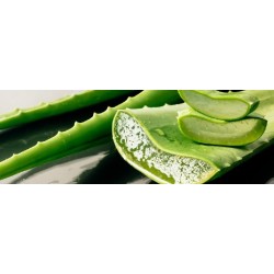 Aloë Vera huidverzachtende regenererende beschermende crème 5 in 1 - 100ml