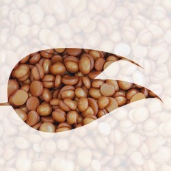 Brazilian Wax Korrels - Pebbles Bronze Cream 800gr Brazilian Wax Korrels - Pebbles Bronze Cream 800gr