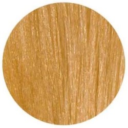 Kis Kera Cream Color - 8GI Licht Goudblond Intensief Kis Kera Cream Color - 8GI Licht Goudblond Intensief