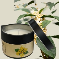 Massage Candle - Hot Massage Oil - Massage Kaars in blik - 40g: Osmanthus Massage Candle - Hot Massage Oil - Massage Kaars in blik - 40g: Osmanthus