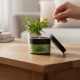 Massage Candle - Hot Massage Oil - Massage Kaars in blik - 40g: Peppermint