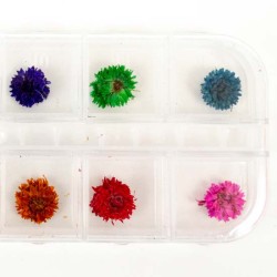 Nailart Bloemen nr.1 Nailart Bloemen nr.1