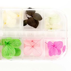 Nailart Bloemen nr.2 Nailart Bloemen nr.2