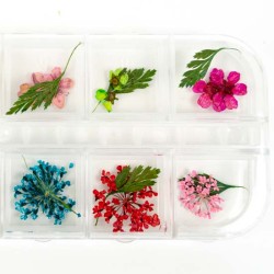 Nailart Bloemen nr.6 Nailart Bloemen nr.6