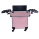 Beautykoffer - Beauty Trolley - Beautycase - Nagel Trolley - HA36: Licht Roze