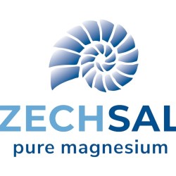Zechsal Magnesium Deodorant - 75ml Zechsal Magnesium Deodorant - 75ml