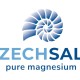 Zechsal Magnesium Sportgel - 100ml
