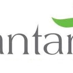 Santana Arganolie 3ml Ampul